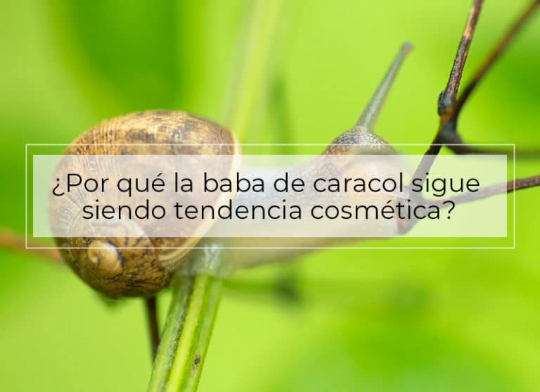 ¿por Qué La Baba De Caracol Sigue Siendo Tendencia Cosmética